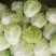 优质868大白菜净菜4~6斤一手货源。优质大白菜