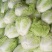 优质868大白菜净菜4~6斤一手货源。优质大白菜