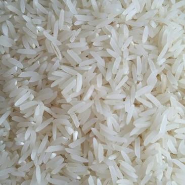 农家无化学肥料农药大米预订种植和购买