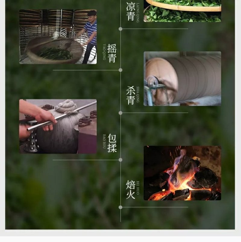 铁观音