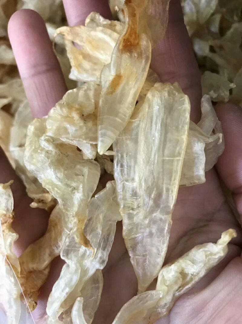 深海黄花胶