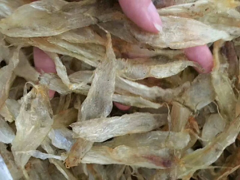 深海黄花胶