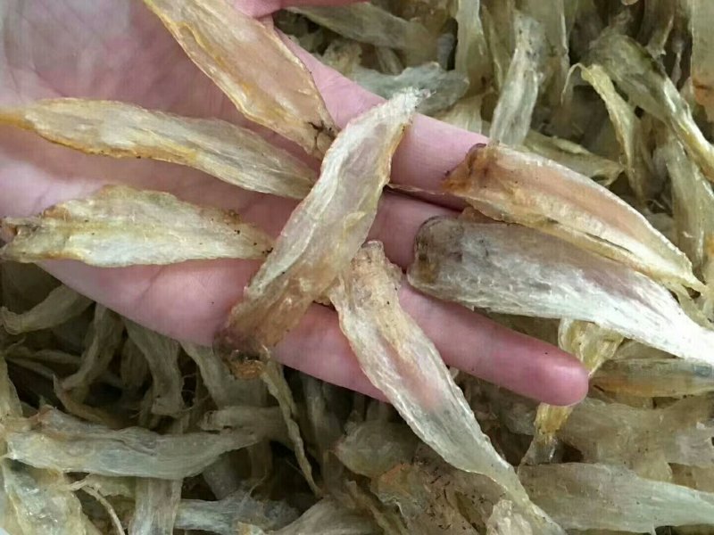 深海黄花胶