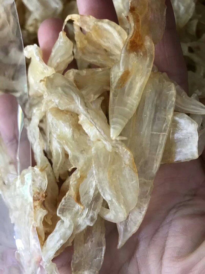 深海黄花胶