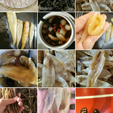 深海黄花胶