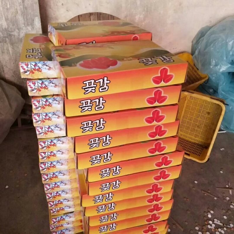 广西桂林平乐柿饼
