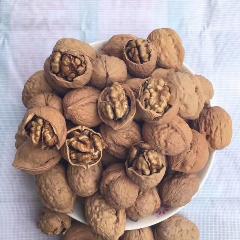 薄皮核桃最新最优质核桃