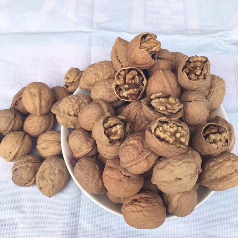 薄皮核桃最新最优质核桃