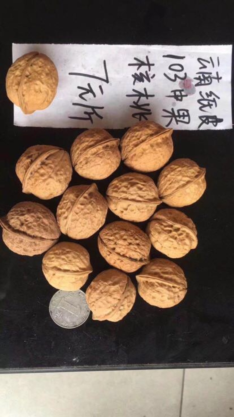 薄皮核桃最新最优质核桃