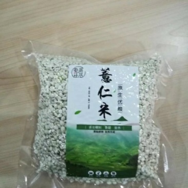 薏米薏仁糯薏米