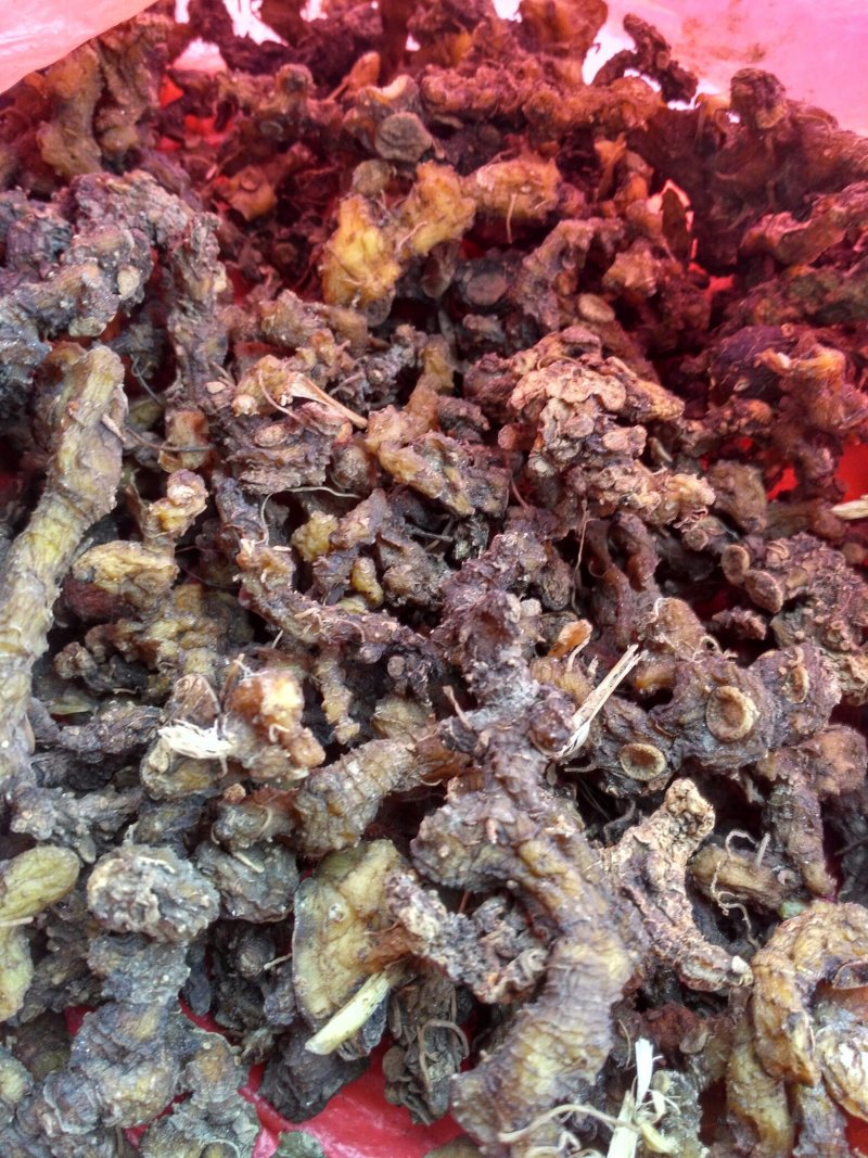 贵州野生黄精，数量不多，须要的联系。