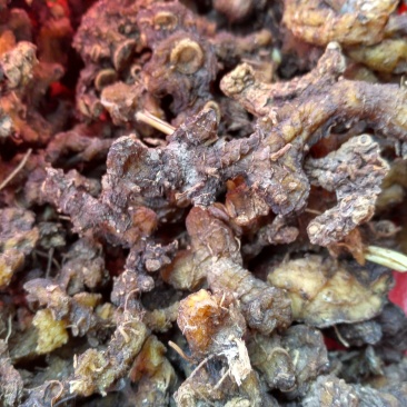 贵州野生黄精，数量不多，须要的联系。