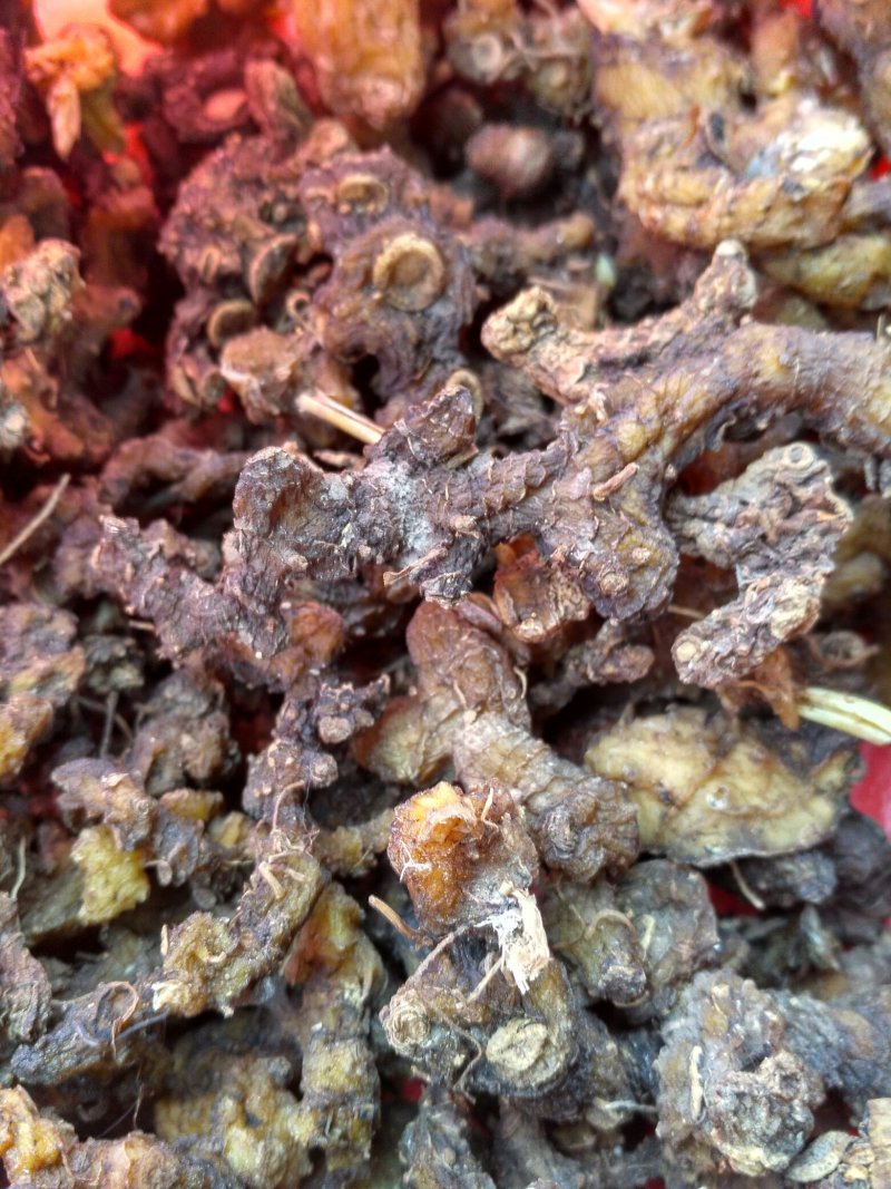贵州野生黄精，数量不多，须要的联系。