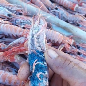 深海鳌虾