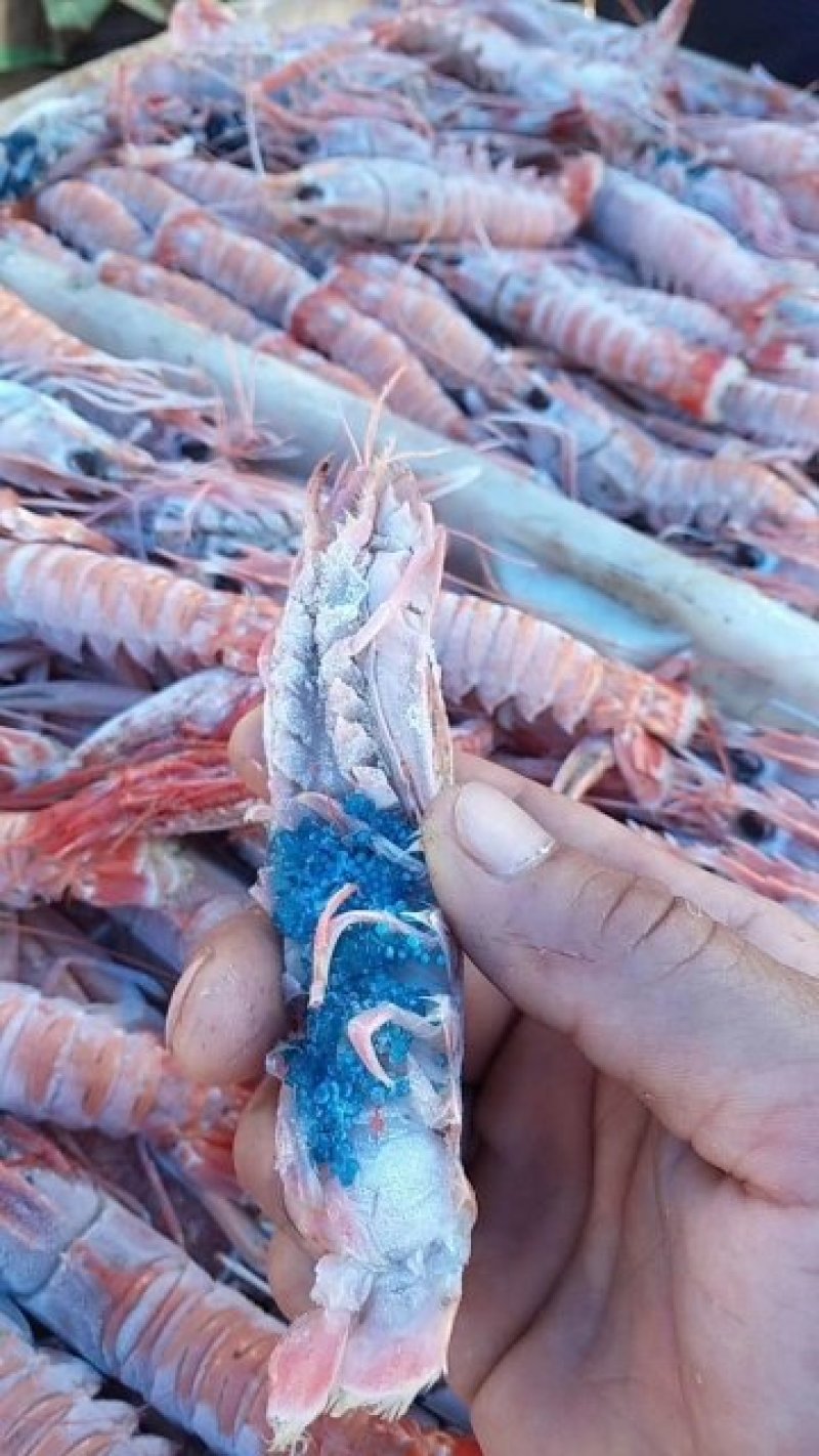 深海鳌虾