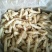 食用菌干货