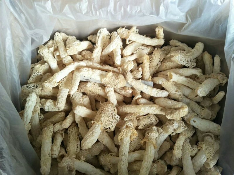 食用菌干货