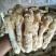 食用菌干货
