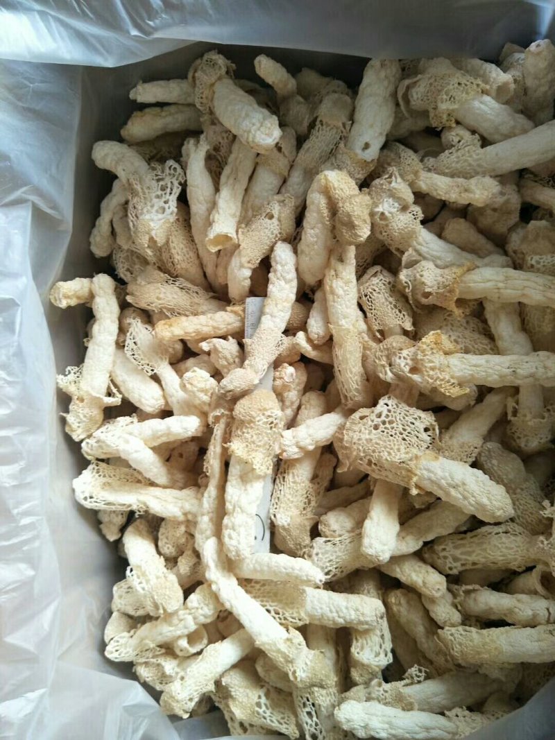 食用菌干货