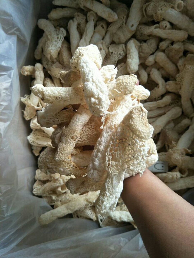 食用菌干货