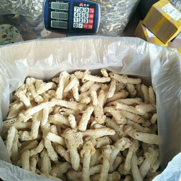 食用菌干货