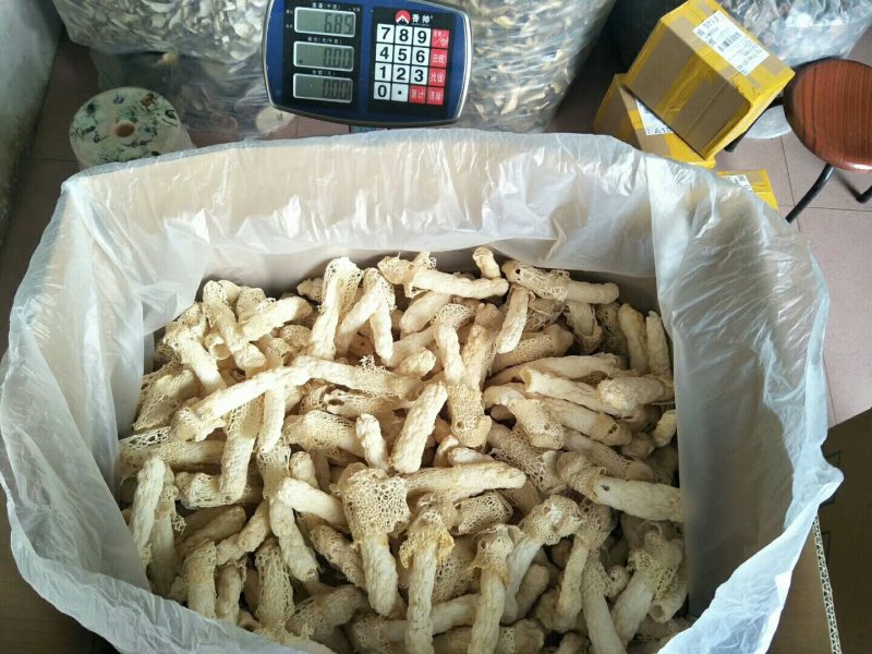 食用菌干货