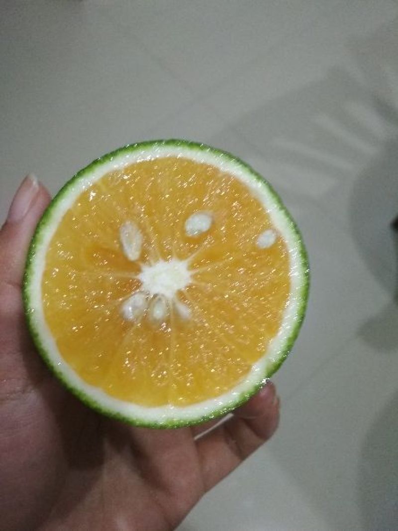 红橙甜度好漂亮