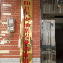 野生山茶籽全干籽，油汁好。价格公道，出油率高。