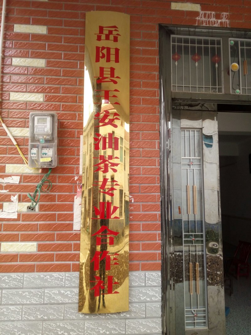 野生山茶籽全干籽，油汁好。价格公道，出油率高。