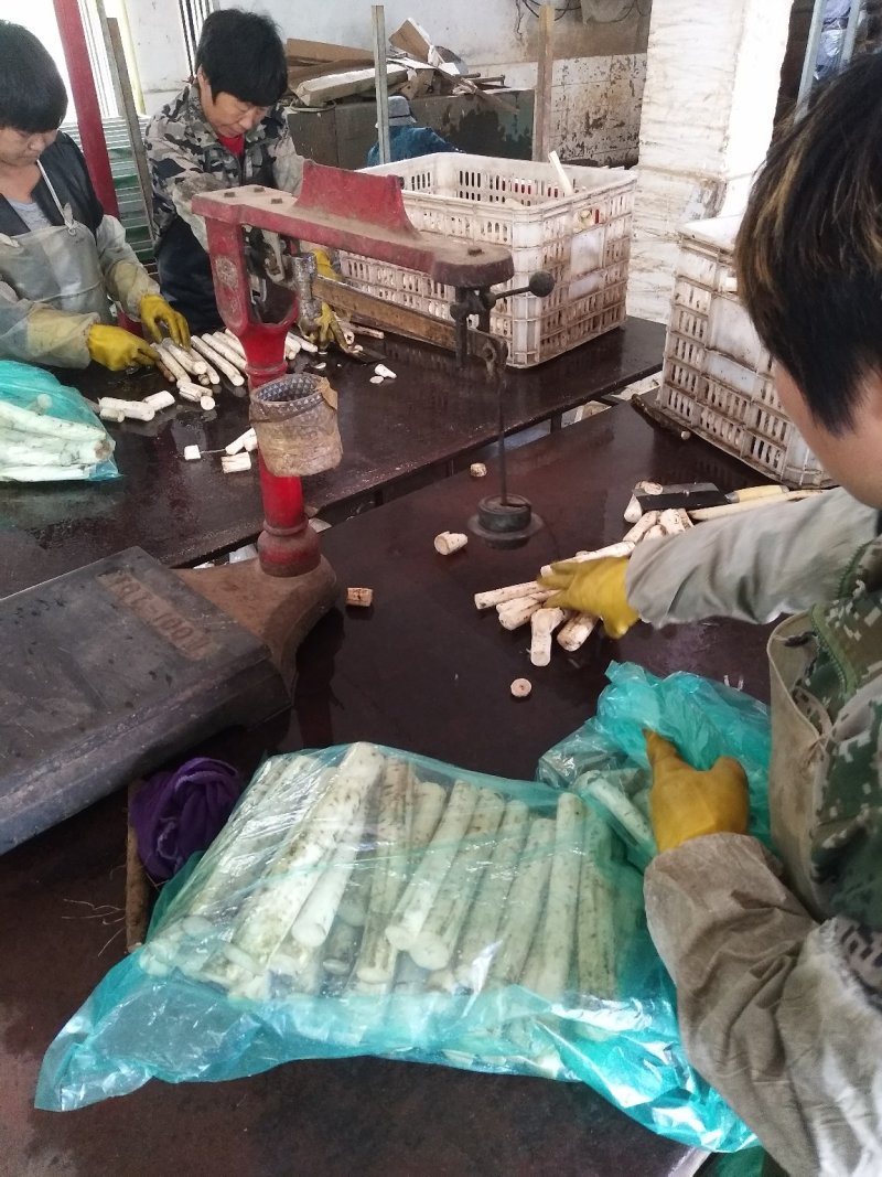 牛蒡深加工
