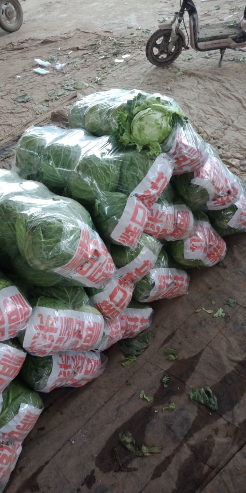 大量蔬菜上市了