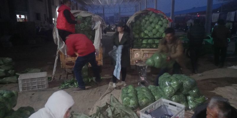 大量蔬菜上市了