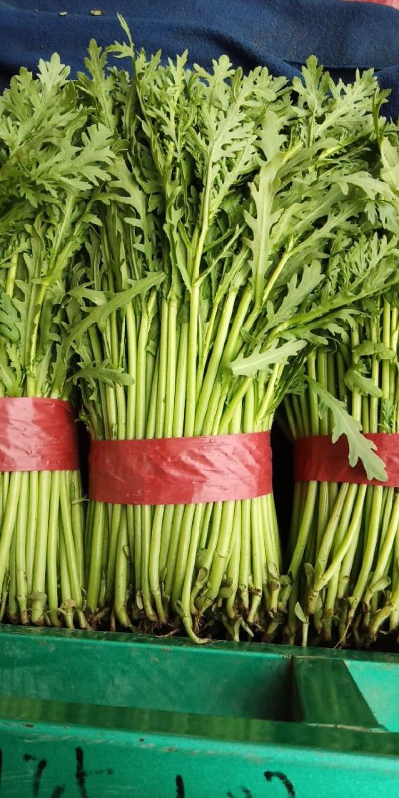 大量蔬菜上市了