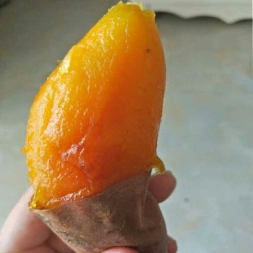 烤红薯库存