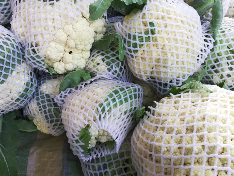 松花菜大量上市质优价美支持产地看货
