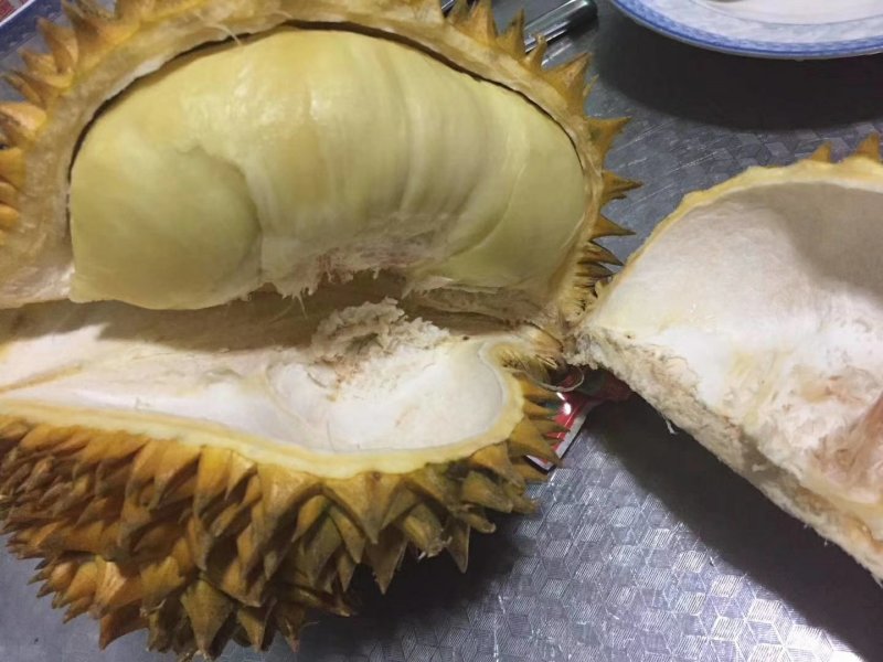巴掌金枕榴莲