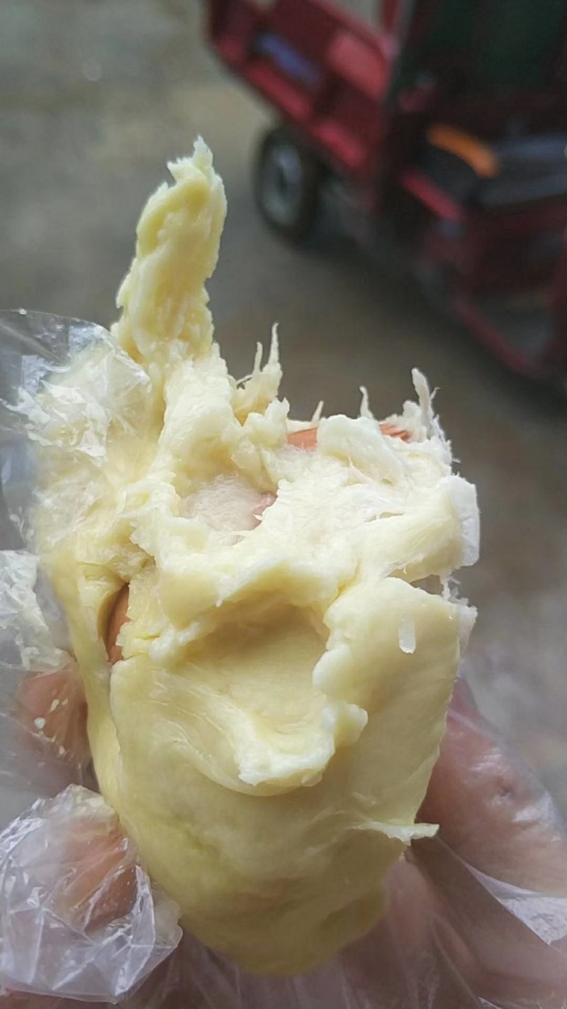 巴掌金枕榴莲