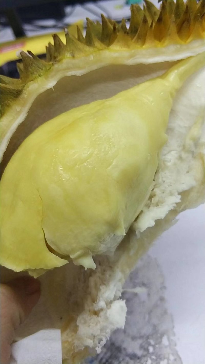 巴掌金枕榴莲