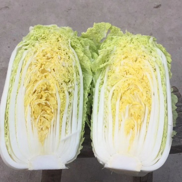 大娃娃菜