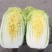 大娃娃菜