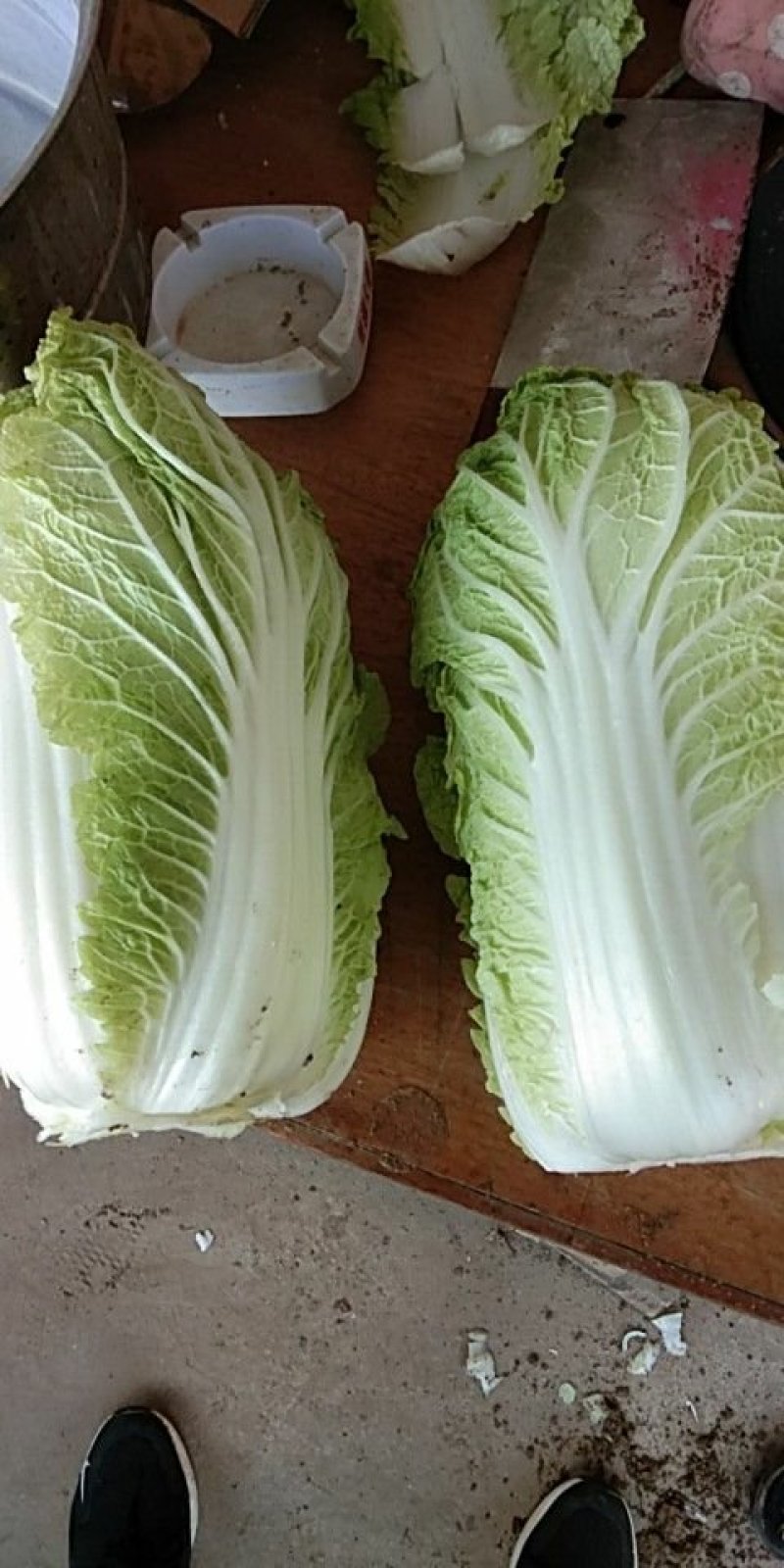 大娃娃菜