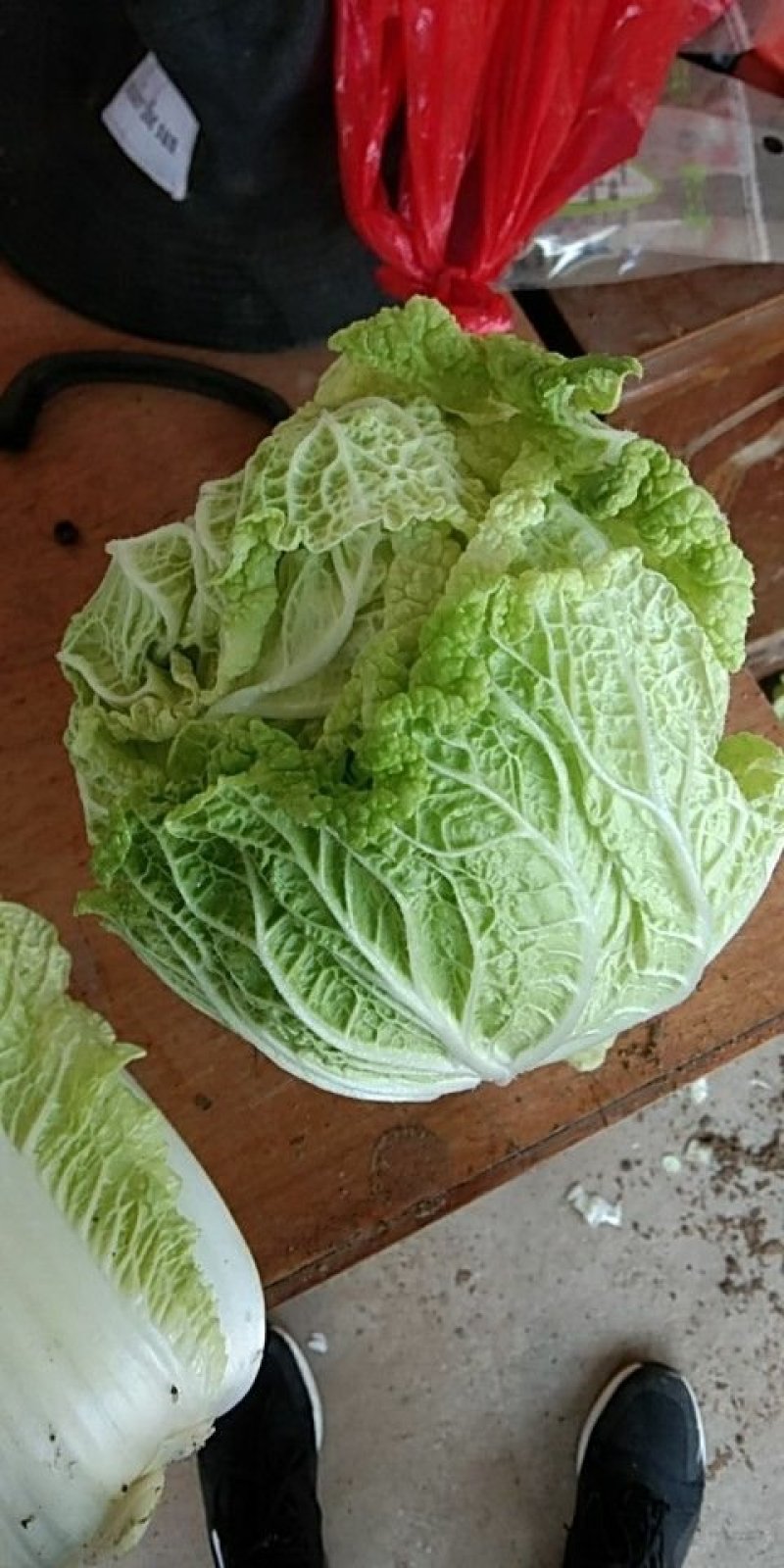 大娃娃菜