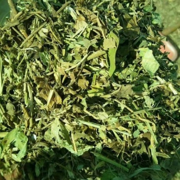 花生秧草粉、小麦秸秆、牛、羊、马、兔草料，过滚筒筛除尘