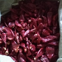吉林洮南北京红辣椒干价格美丽产地对接