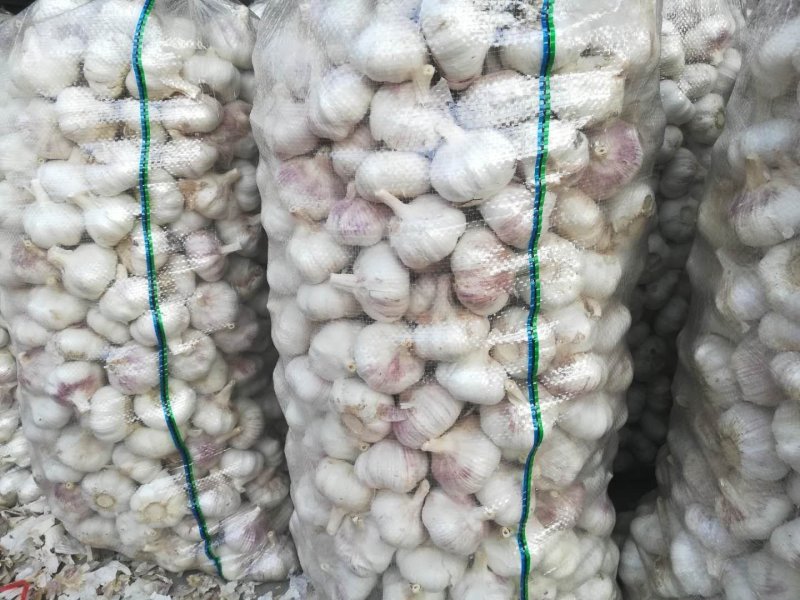 大蒜混级统货新蒜，精选分级各种规格，精加工包装
