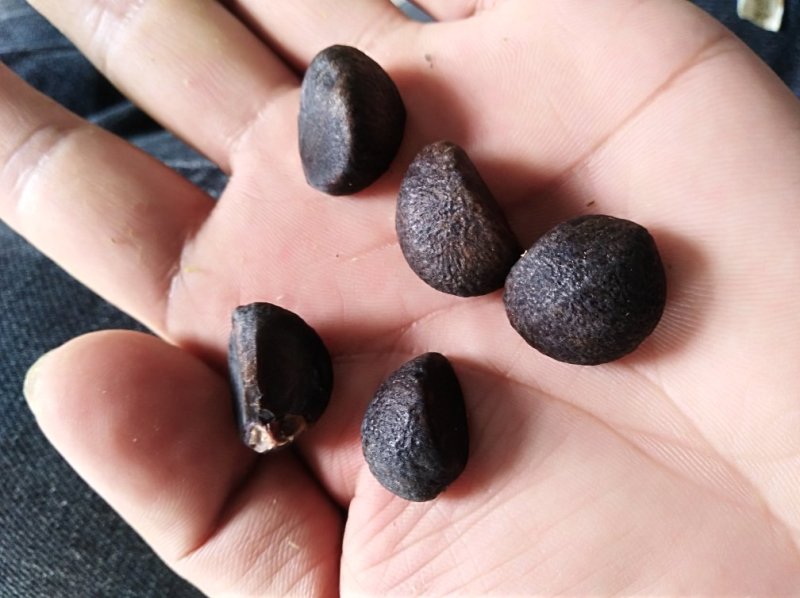 湖北省罗田县三里畈镇油茶油