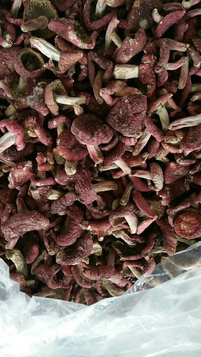 正红标红菇