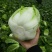 大白菜2~3斤净菜