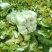 大白菜2~3斤净菜