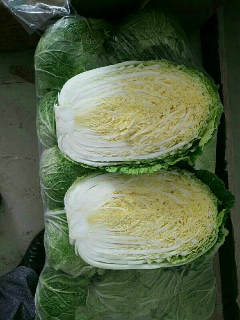 大白菜2~3斤净菜
